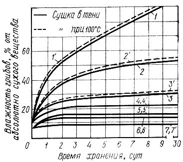 Рис. 10. Влияние температуры сушки на гигроскопические свойства опят, высушенных в тени и при температуре 100° С: 1 и 1 - хранение при относительной влажности 100%; 2 и 2 - 90%; 3 и 3 - 75%; 4 и 4 - 66%; 5 и 5 - 52%; 6 и 6 - 47%; 7 и 7 - 32%