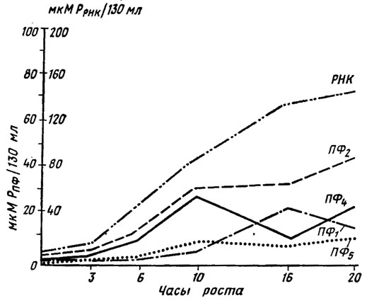 . 1.5.              Neurospora crassa   4-3  130   (, 1975)