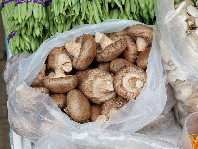      : https://zh.wikipedia.org/wiki/??#/media/File:Shiitake_mushroom_in_Vegetable_store_in_Yuen_Long.jpg